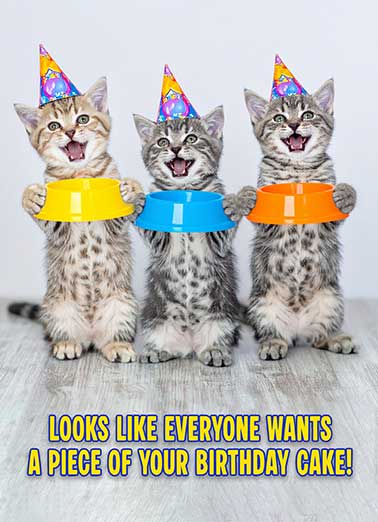 Cat Cake Bowl Funny Birthday     Happy Birthday